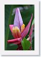 Xandari - 37 * Xandari landscaping * Xandari landscaping